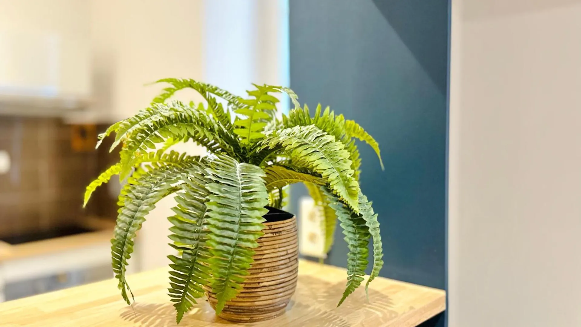 L'Ecrin - 2 Pieces - Le Suquet Apartman Cannes Franciaország